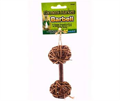 Willow Barbell Chew Toy