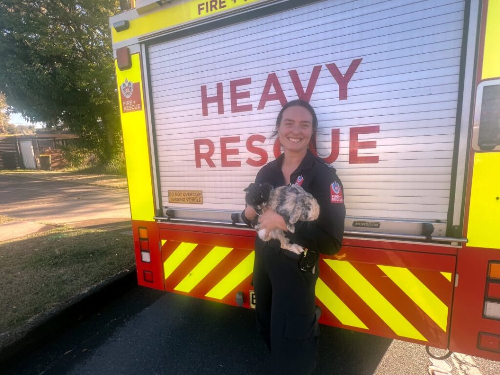 Firefighters save house and two pet bunnies in possible Lithium battery blaze