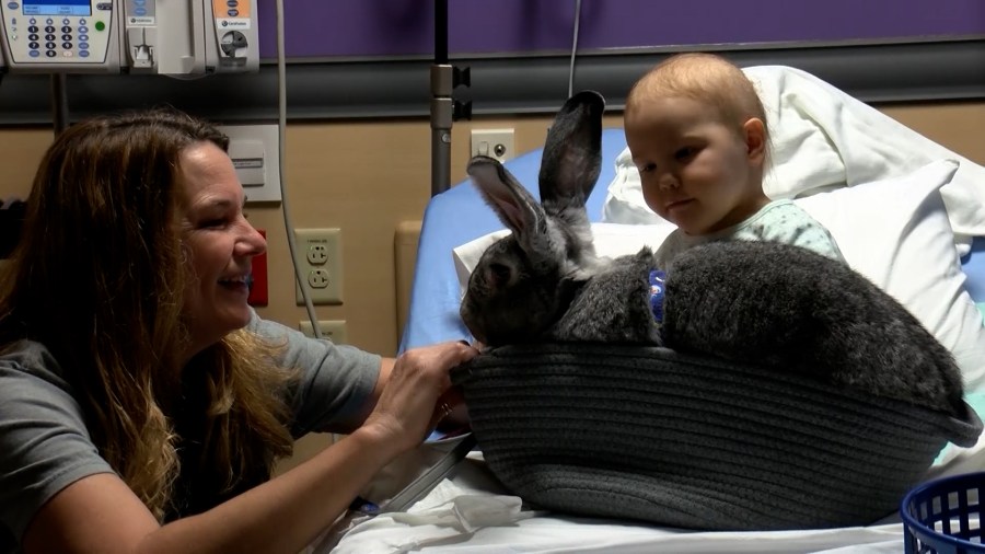 Wichita couple expands therapy bunny program