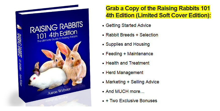Raising Rabbits 101