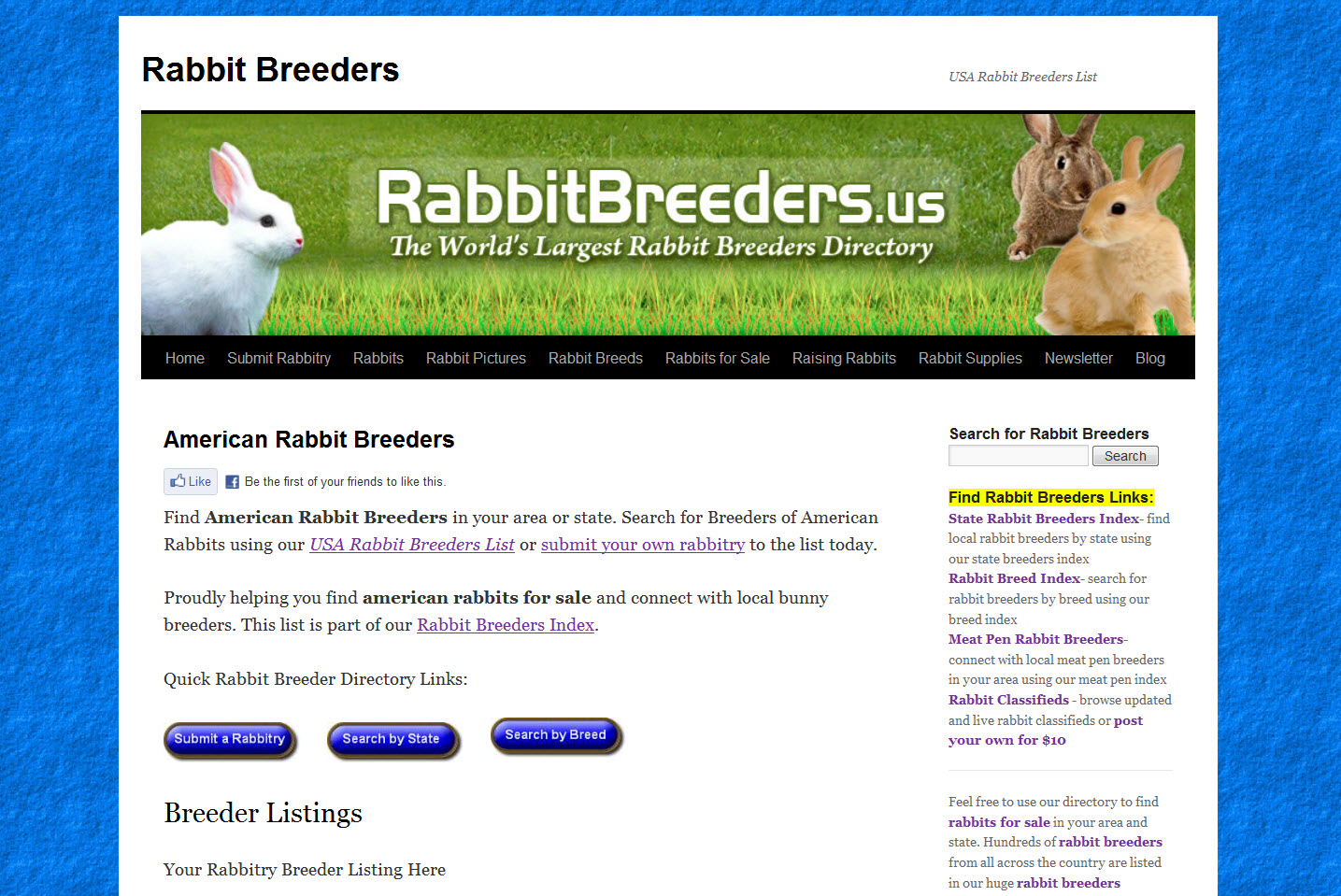 American Rabbits for Sale