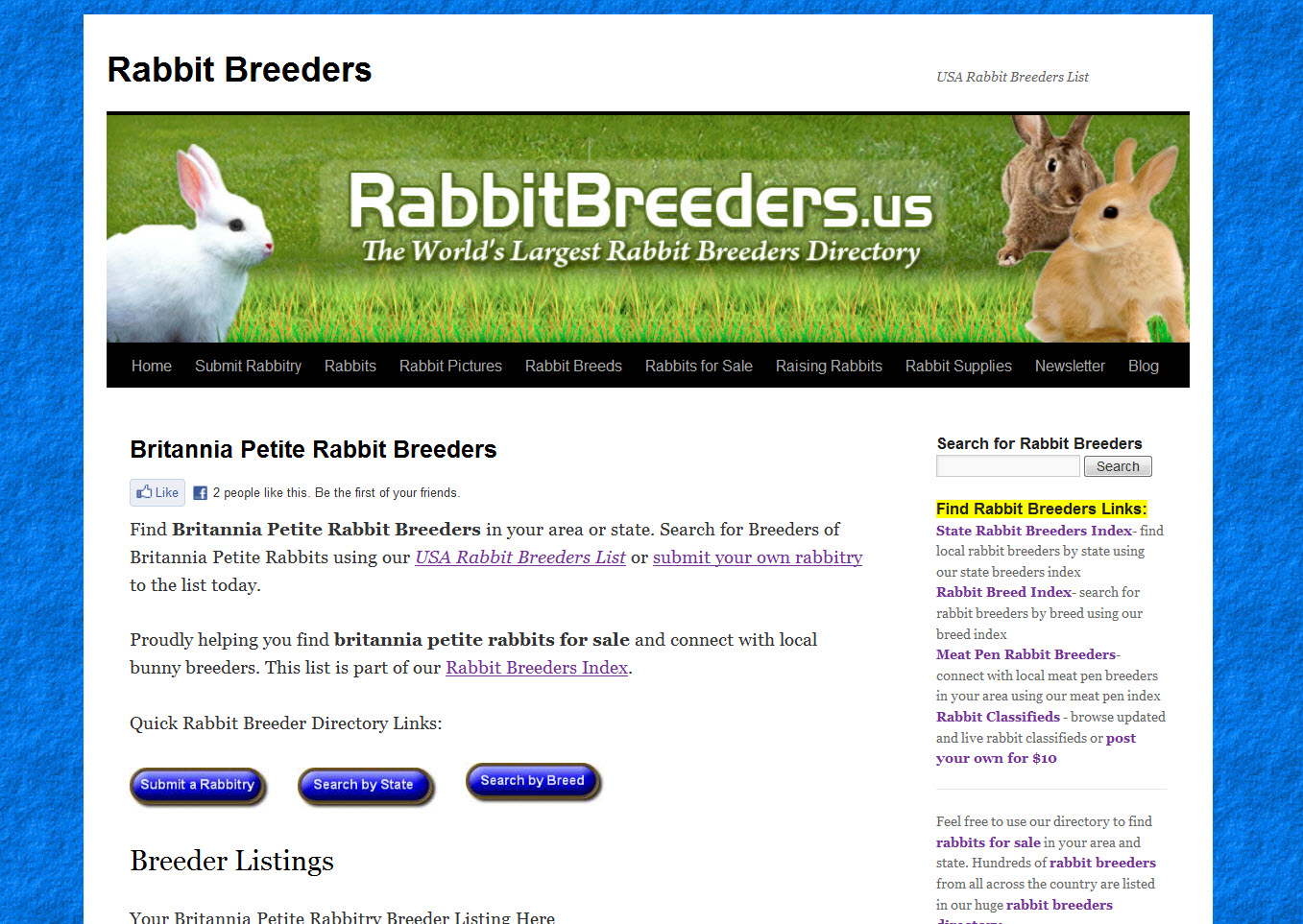 Britannia Petite Rabbits for Sale