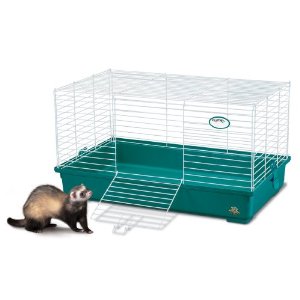 Cage for a Dwarf Rabbit