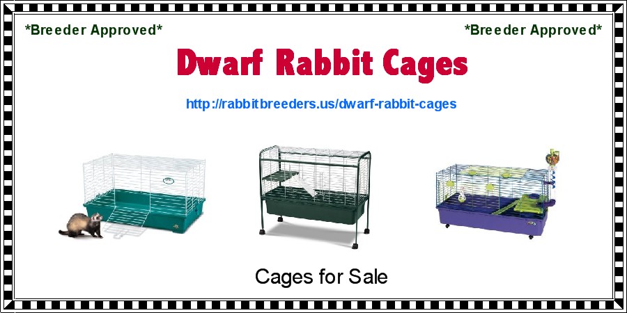 Dwarf Rabbit Cages