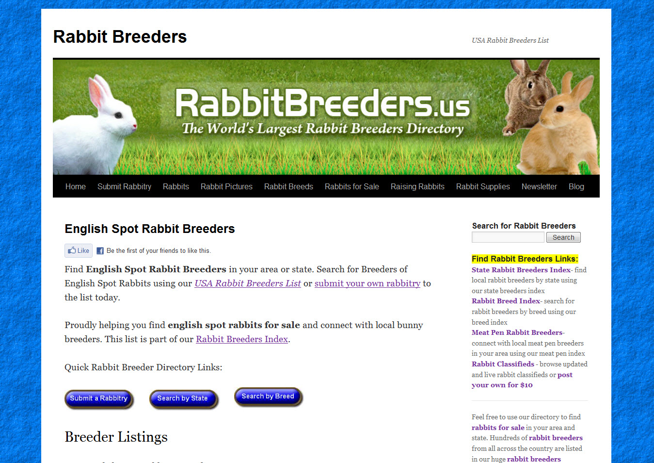 English Spot Rabbits for Sale