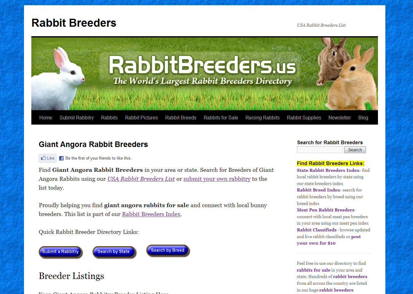 Giant Angora Rabbit Breeders