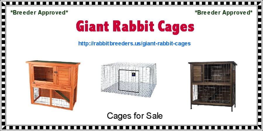Giant Rabbit Cages