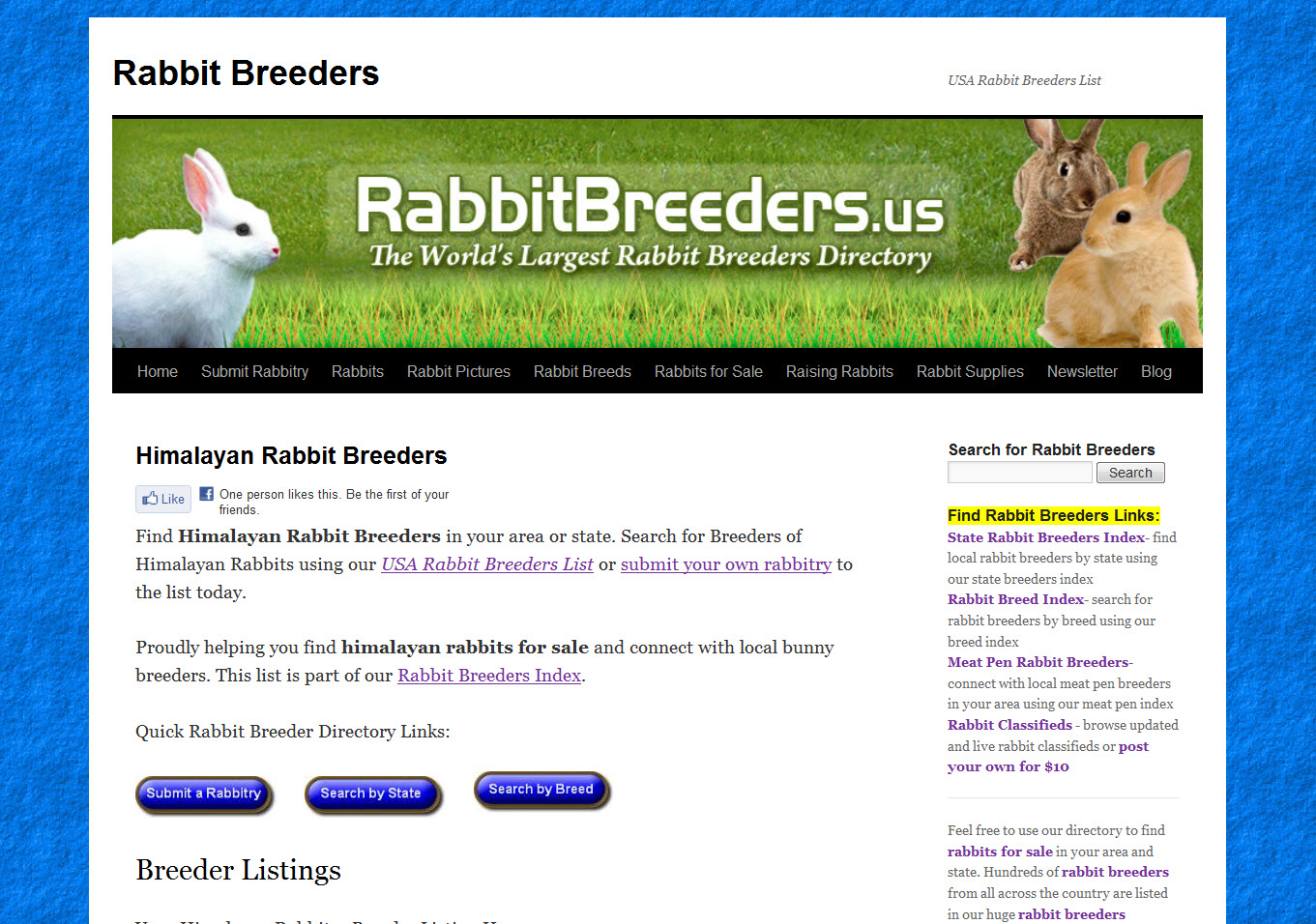 Himalayan Rabbits for Sale