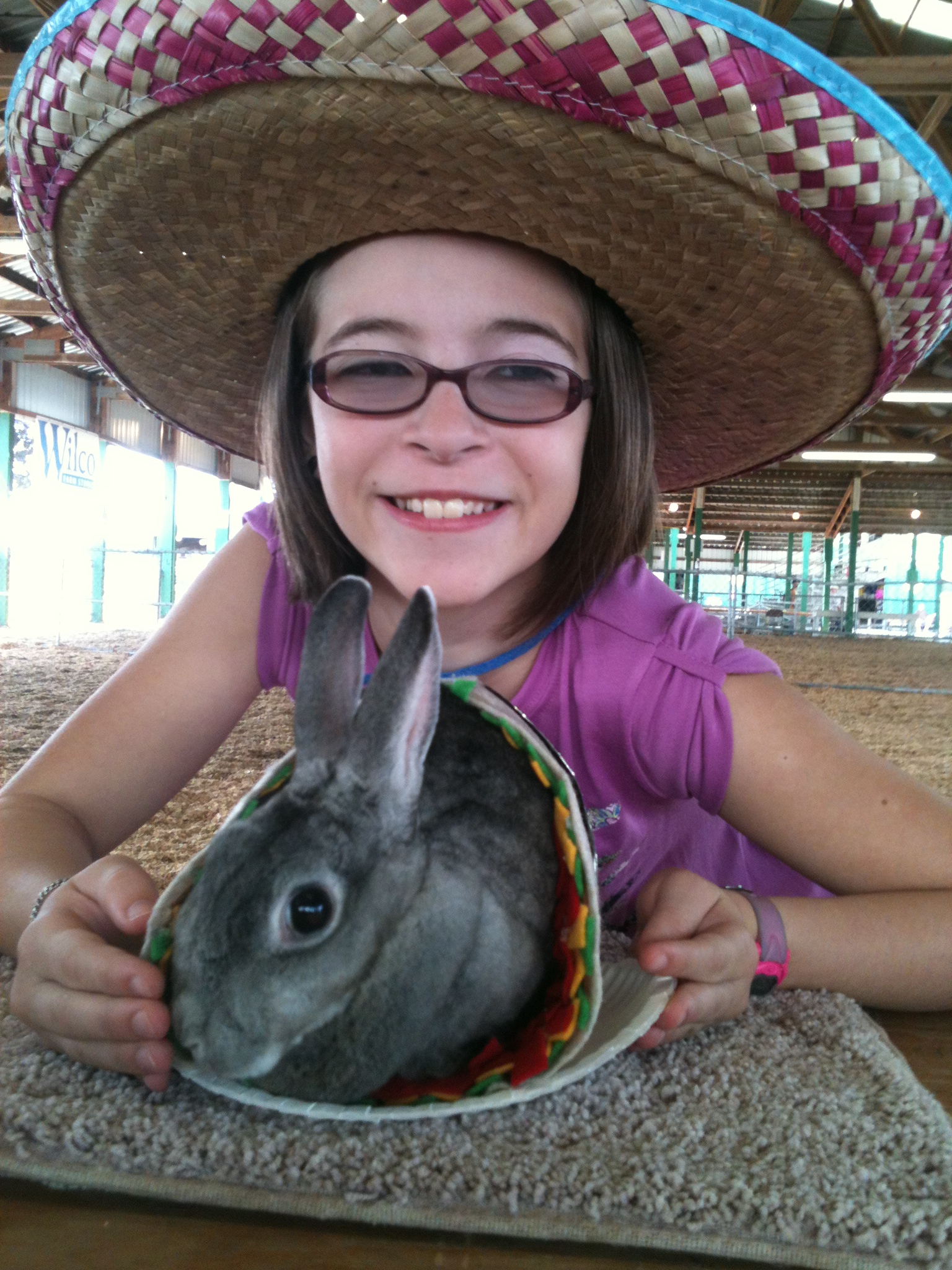 Mini Rex Rabbits