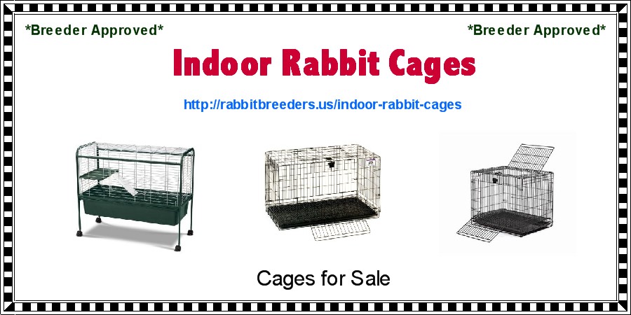 Indoor Rabbit Cages