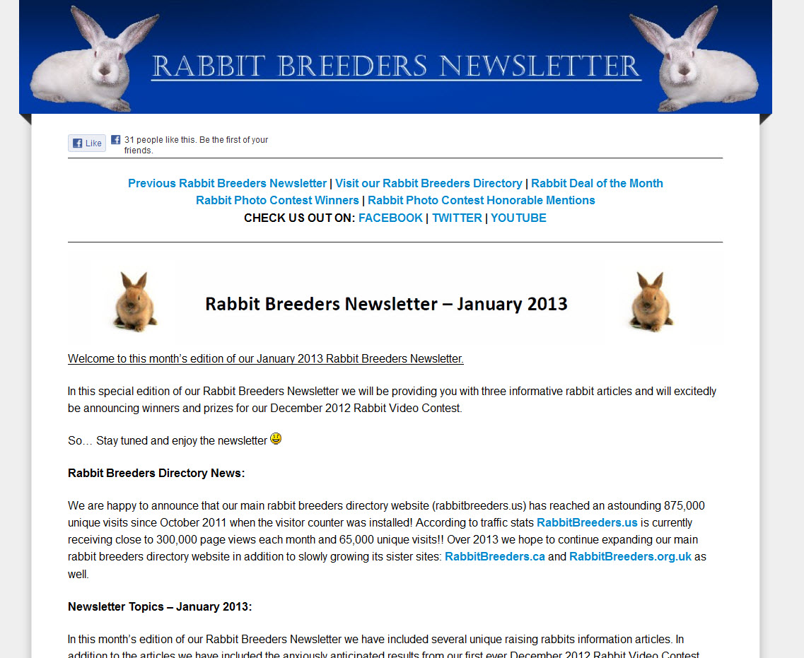 Rabbit Newsletter