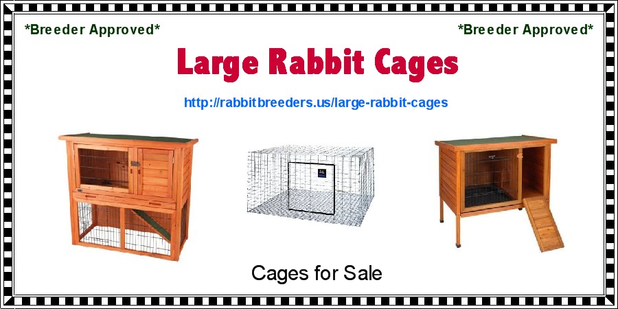 Large Rabbit Cages