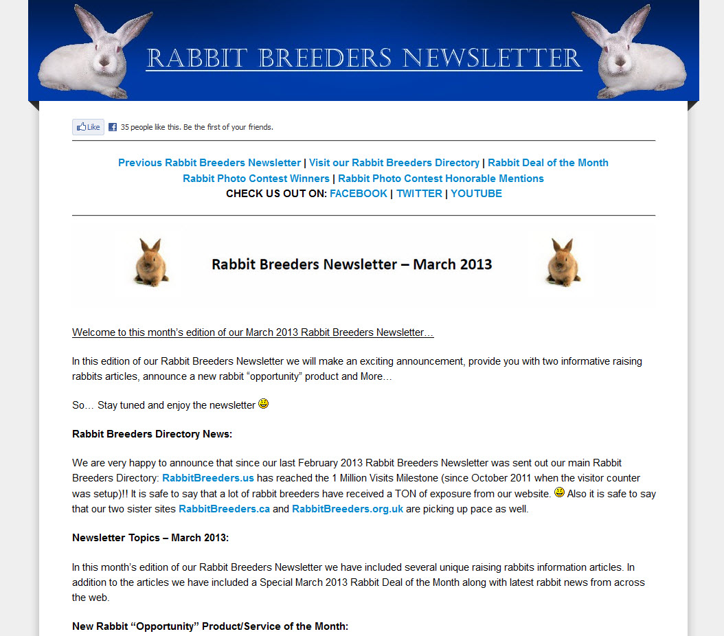 Rabbit Newsletter