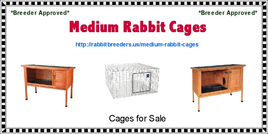 Medium Rabbit Cages