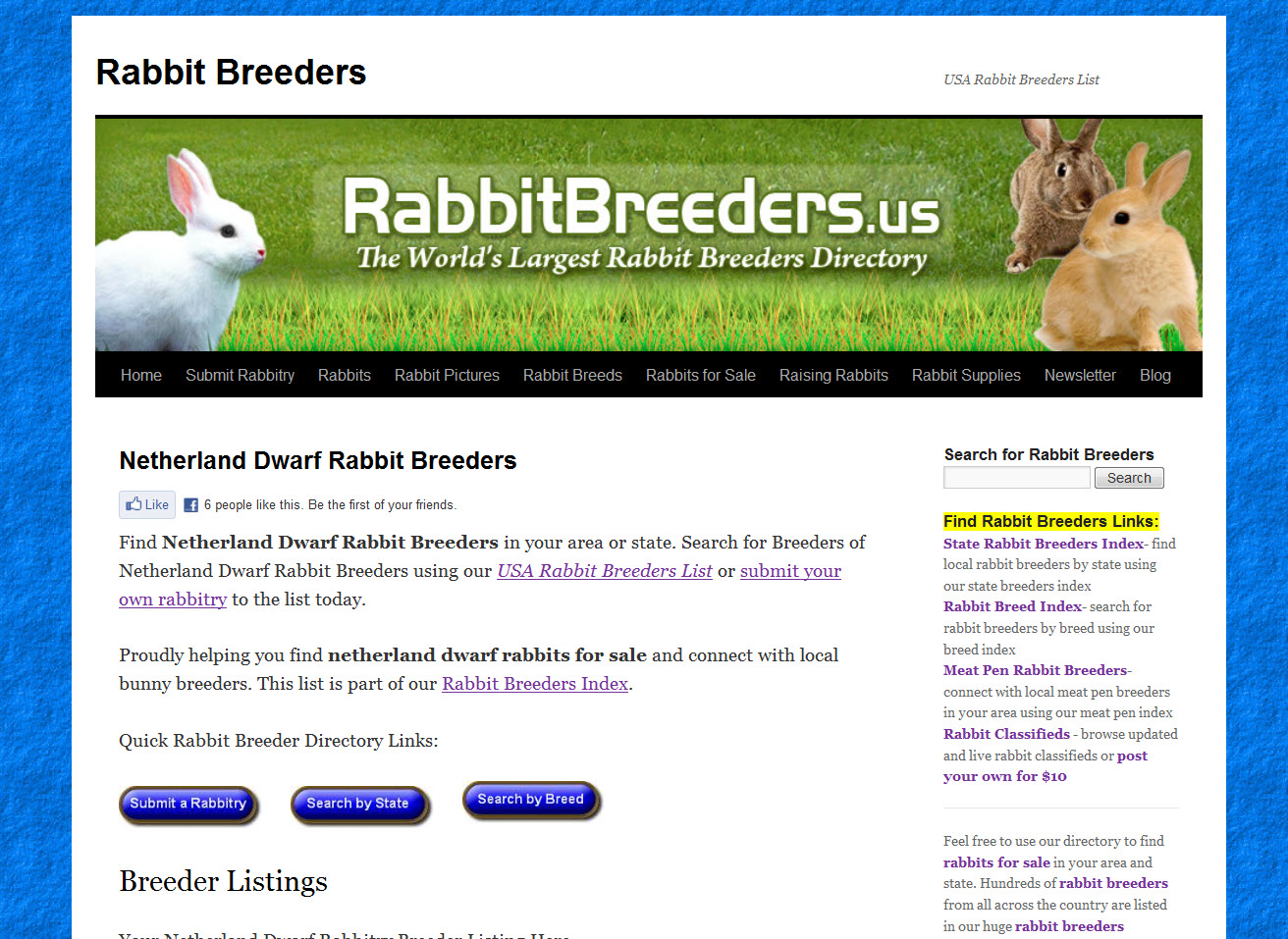 Netherland Dwarf Rabbit Breeders