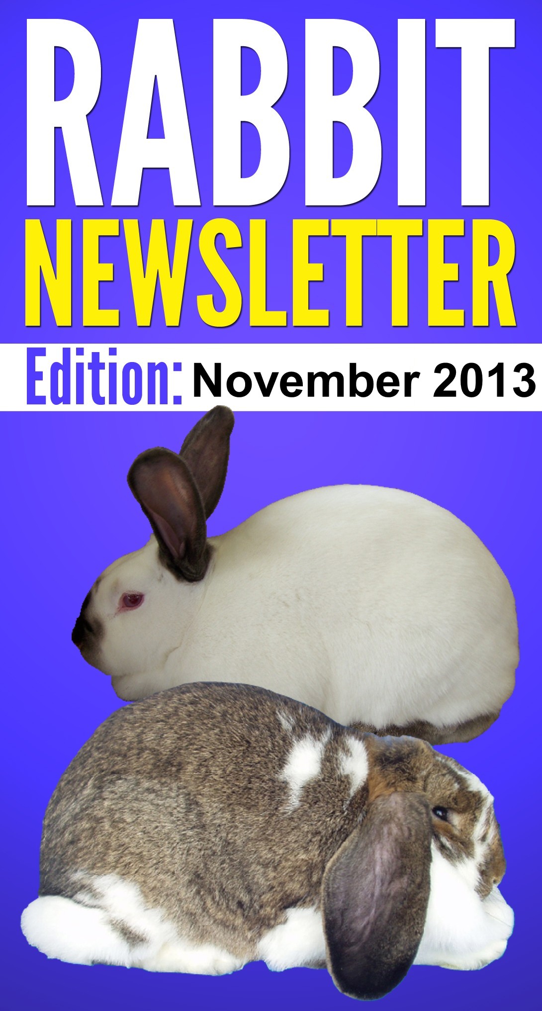 Rabbit Newsletter