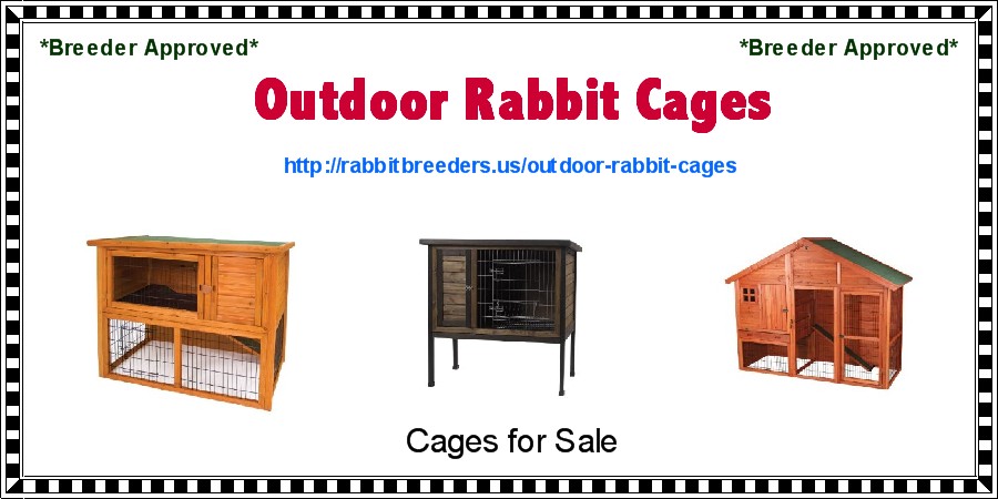 Outdoor Rabbit Cages