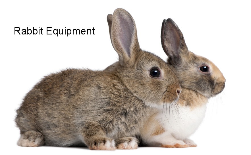 rabbit equipment suppliers