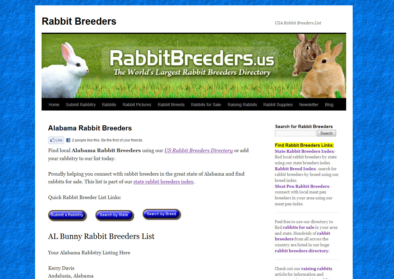 Rabbits for Sale in Birmingham