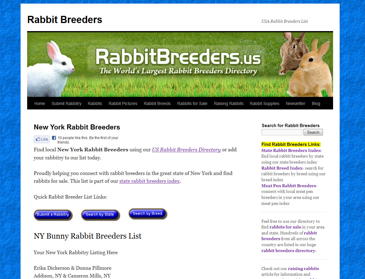 Rabbits for Sale in Buffalo