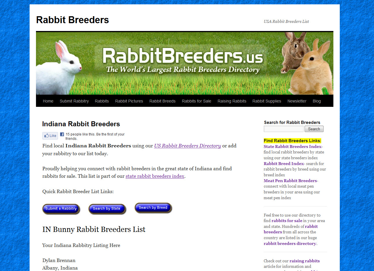 Rabbits for Sale in Carmel