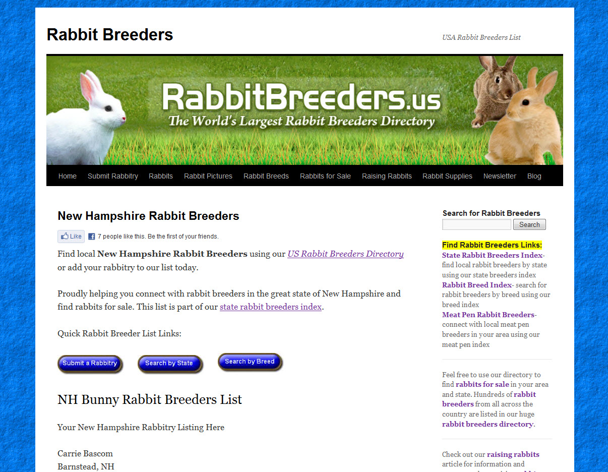 Rabbits for Sale in Concord