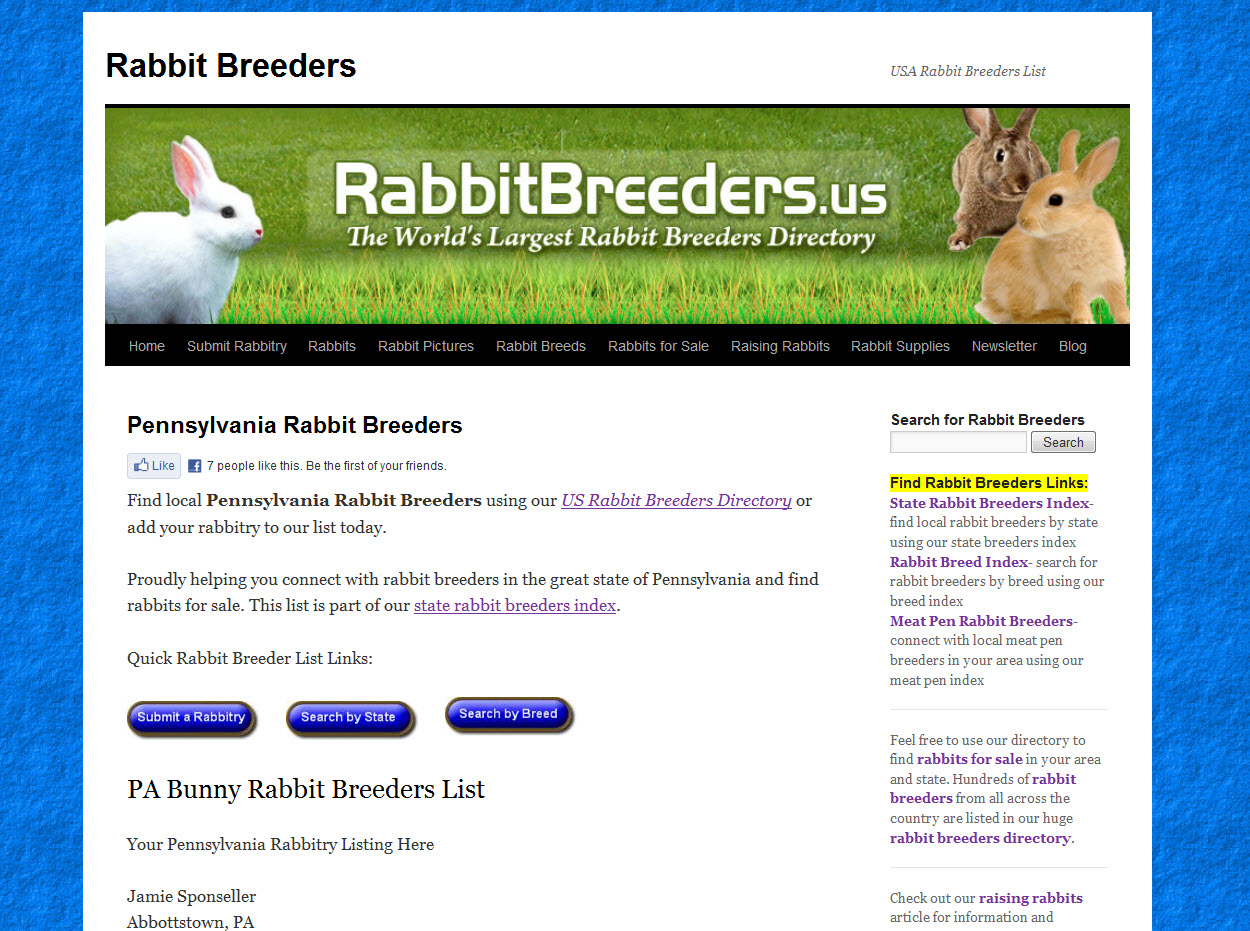 Rabbits for Sale in Erie