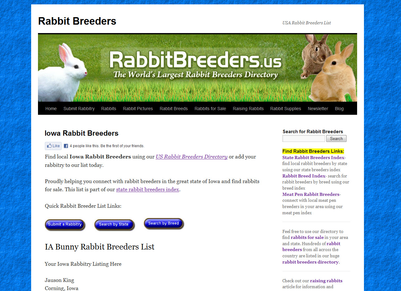 Rabbits for Sale in Iowa