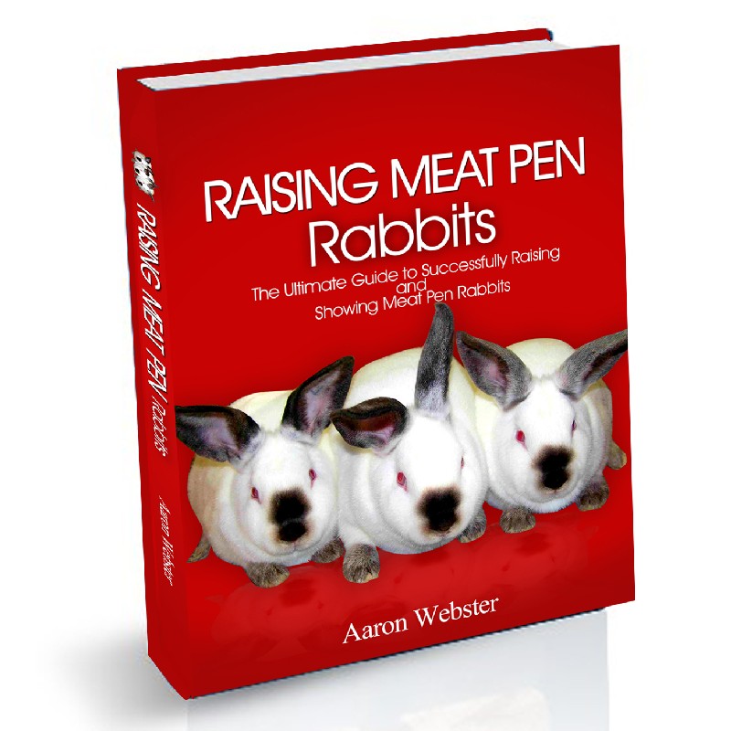 Meat Pen Rabbits