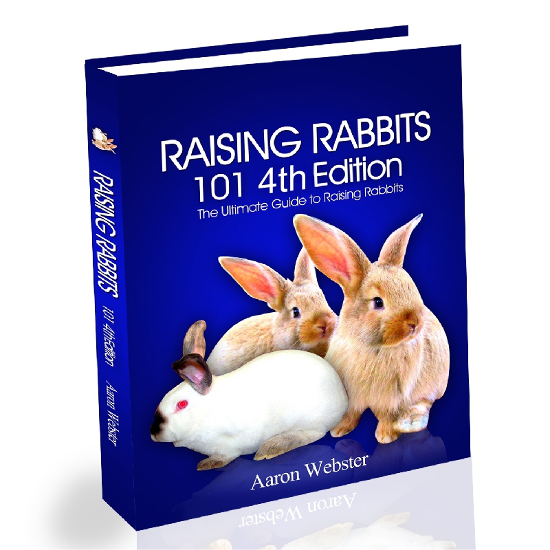 Raising Rabbits 101