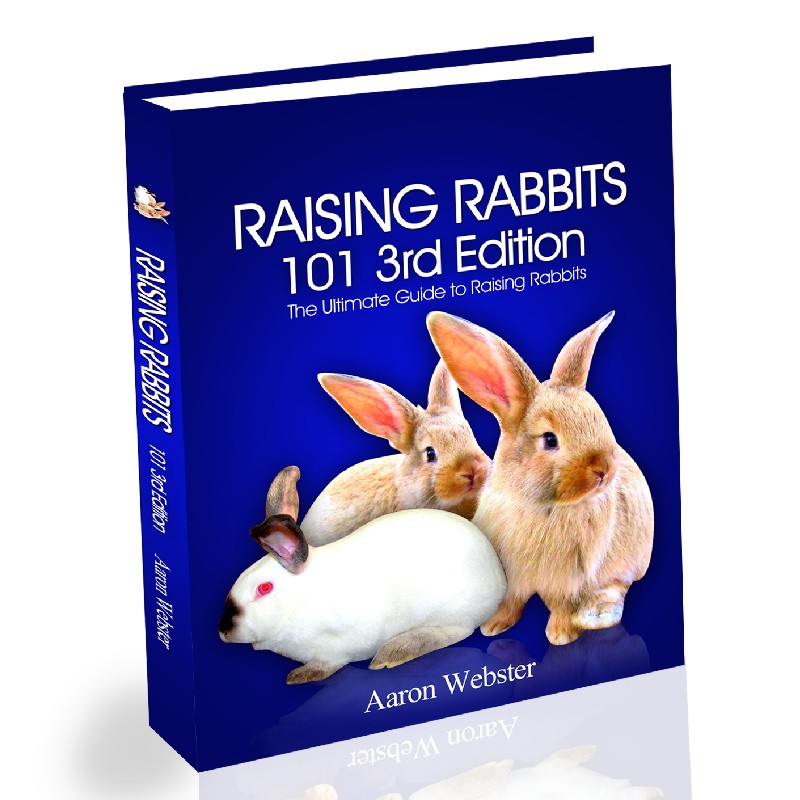 Raising Rabbits