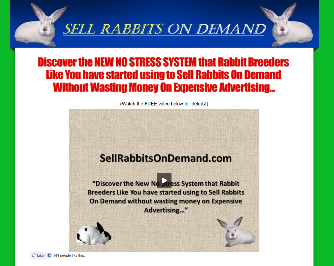 Sell Rabbits