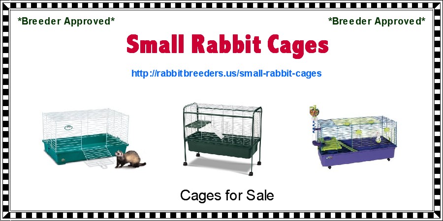 Small Rabbit Cages