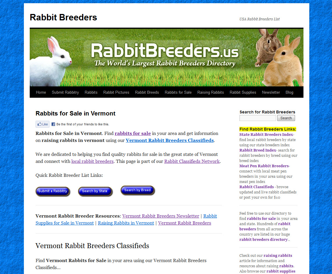 Rabbits for Sale in Vermont Bunny Breeders in Vermont