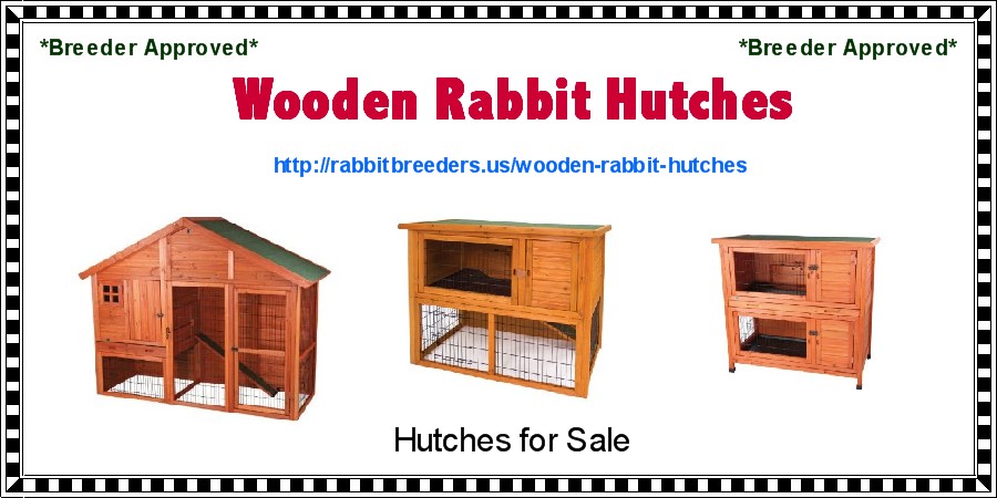 Wooden Rabbit Hutches